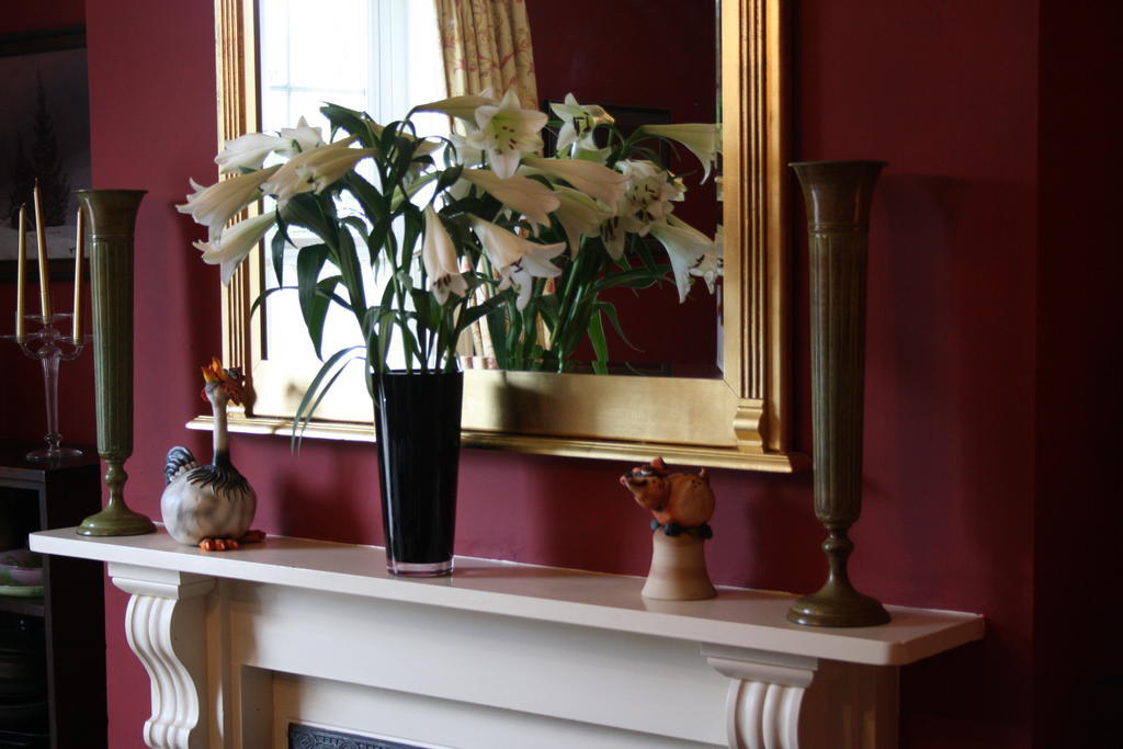 Cheriton House Bed & Breakfast Winfrith Newburgh Dış mekan fotoğraf